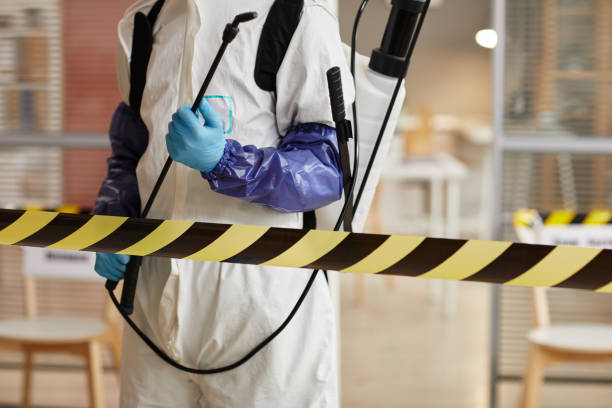 Professional Sewage Cleanup technician working in Grimesland, NC